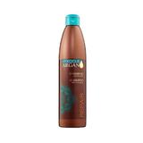 Javító Argán Olajos és Keratinos Sampon - Argan Professional Repair Shampoo with Argan Oil & Keratin, 500 ml