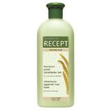 Sampon túlzott hajhullás ellen – Subrina Recept Strong Hair Shampoo Against Hair Loss, 400 ml