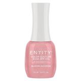 Pigmentált Zselés Körömlakk - Entity Color Couture Soak Off Gel, árnyalata "Blushing Bloomers", 15 ml