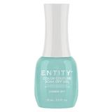 Pigmentált Zselés Körömlakk - Entity Color Couture Soak Off Gel, árnyalata "Camera Shy", 15 ml